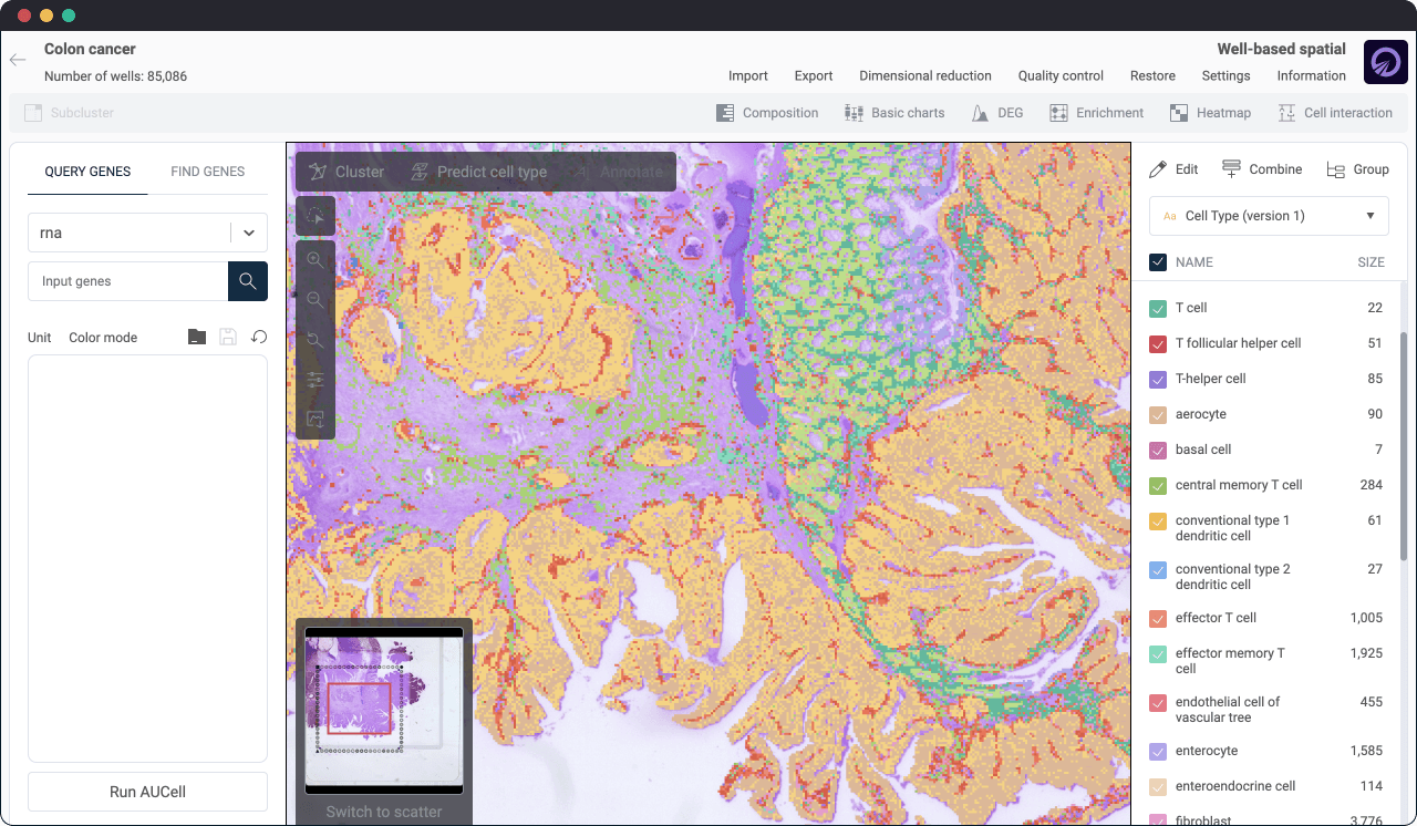 visium HD, spatial transcriptomics