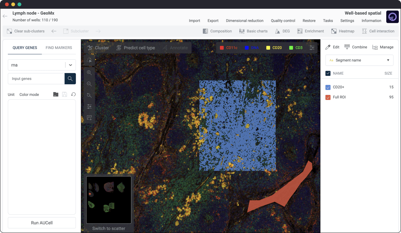 GeoMx DSP, spatial transcriptomics