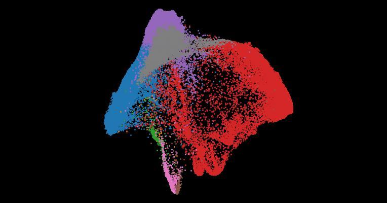 Single-cell longitudinal analysis of SARS-CoV-2 infection in human bronchial epithelial cells