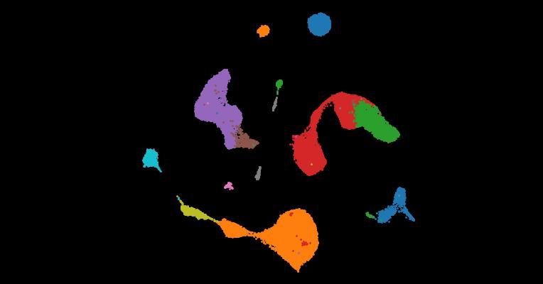Multimodal single cell sequencing implicates chromatin accessibility and genetic background in diabetic kidney disease progression