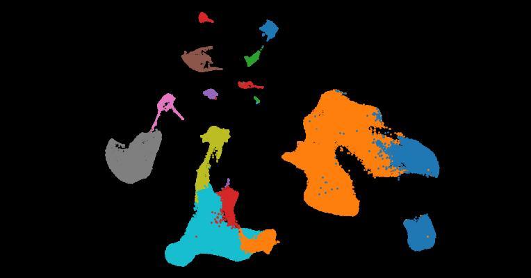 Spatial proteogenomics reveals distinct and evolutionarily conserved hepatic macrophage niches