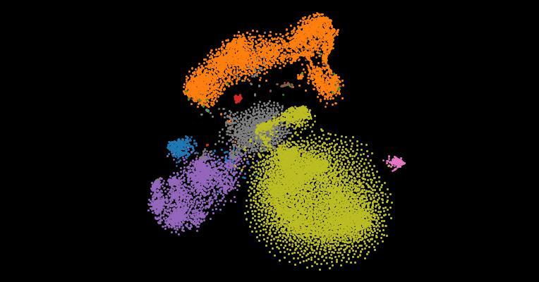 Single-cell transcriptomic atlas of the human retina identifies cell types associated with age-related macular degeneration