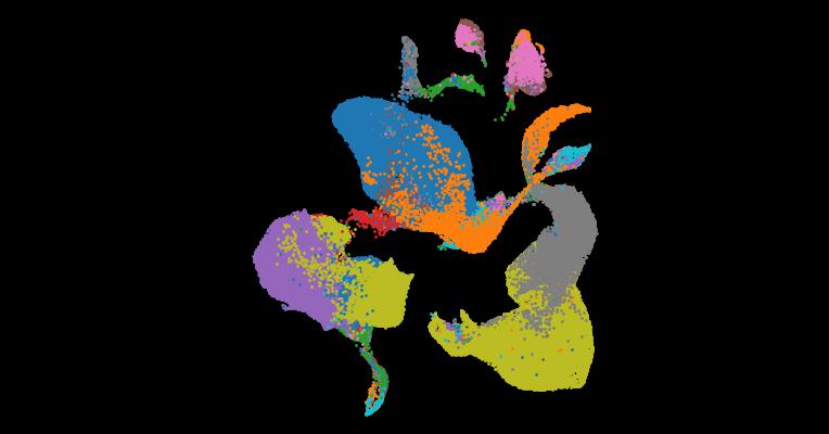 Issac Goh Blood and immune development in human fetal bone marrow and Down syndrome